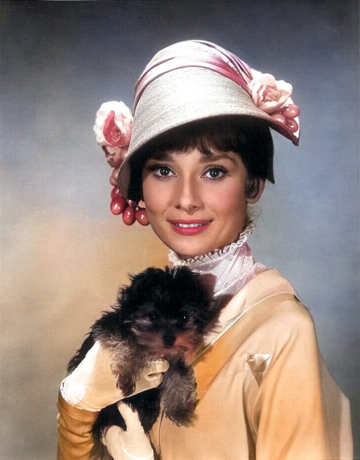 Audrey Hepburn