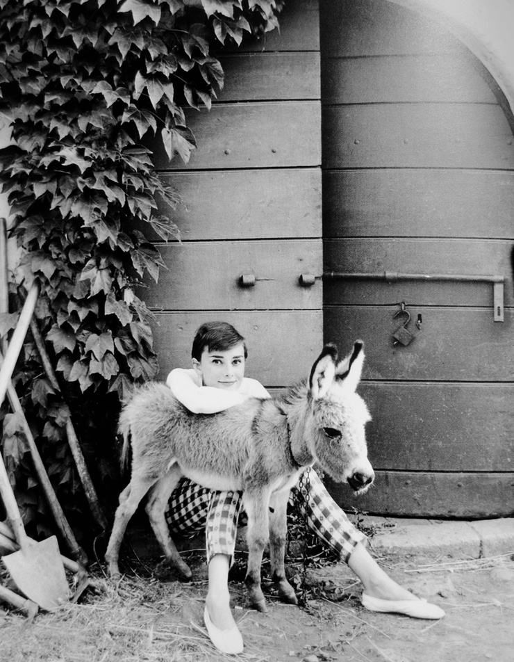 Audrey Hepburn Audrey Hepburn