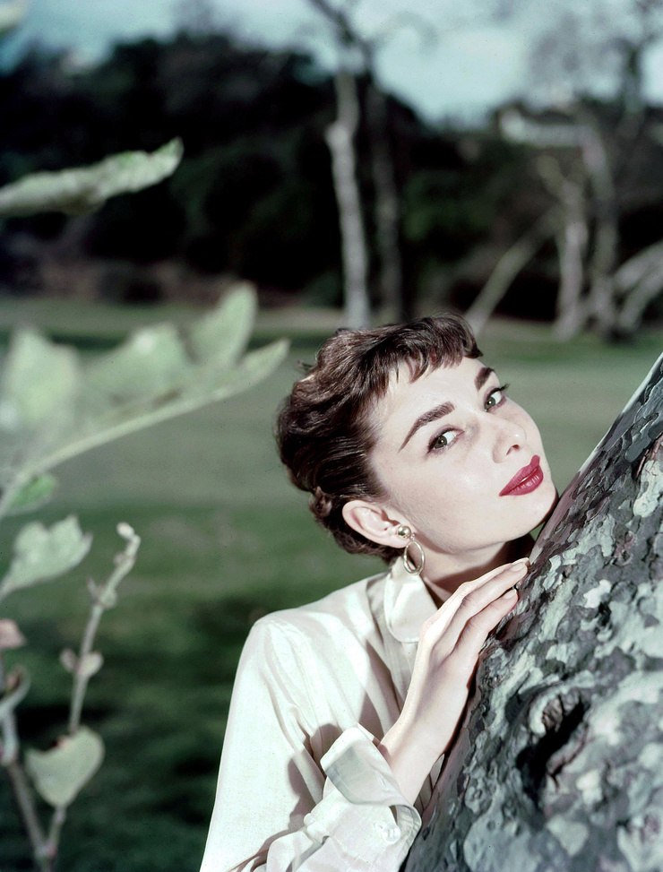 Audrey Hepburn Audrey Hepburn