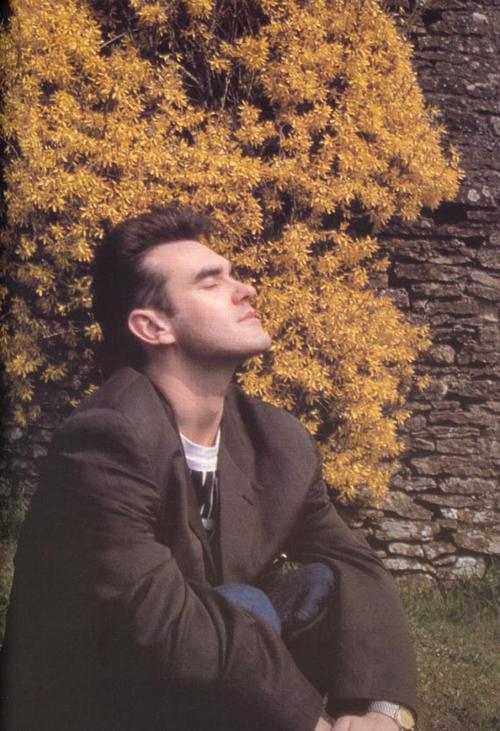 Morrissey Morrissey