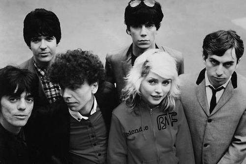 Picture of Blondie