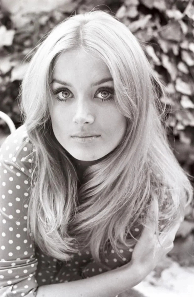 Picture of Barbara Bouchet