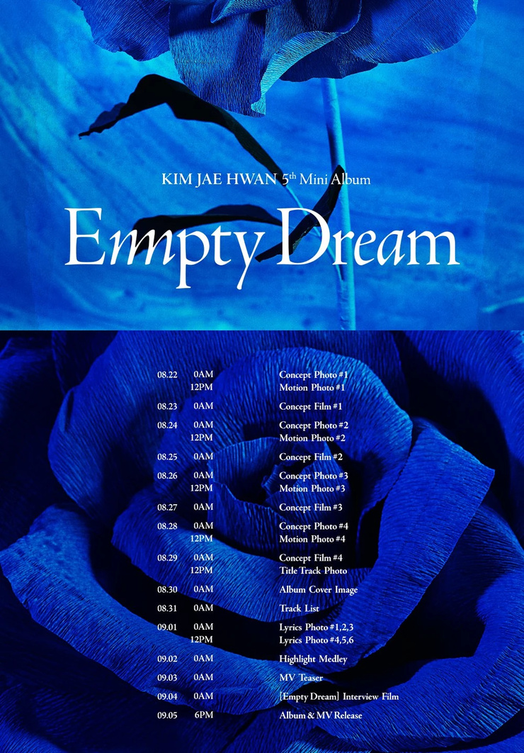 Picture of Empty Dream