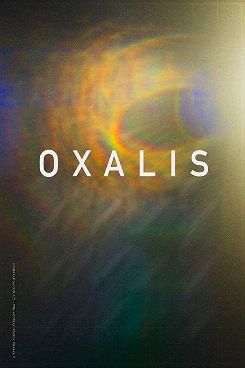 Oxalis                                  (2018)