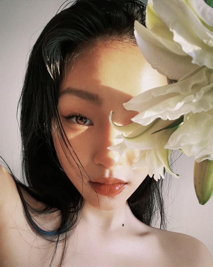 Havy Nguyen