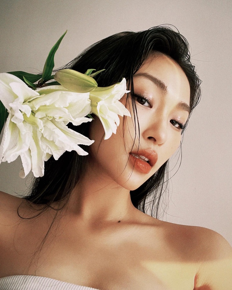 Havy Nguyen