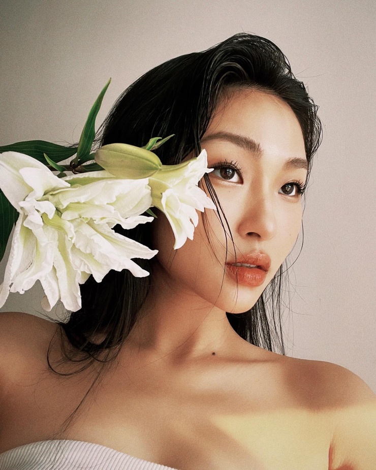 Havy Nguyen