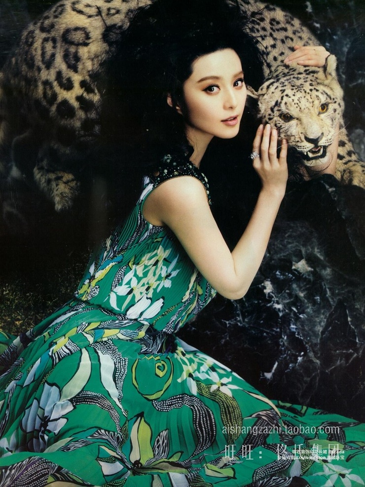 Fan Bing Bing Fan Bing Bing