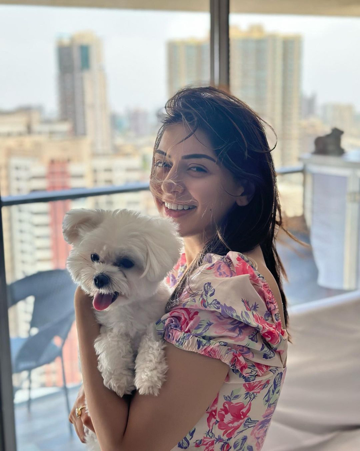 Hansika Motwani
