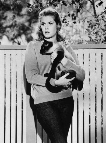 Elizabeth Montgomery