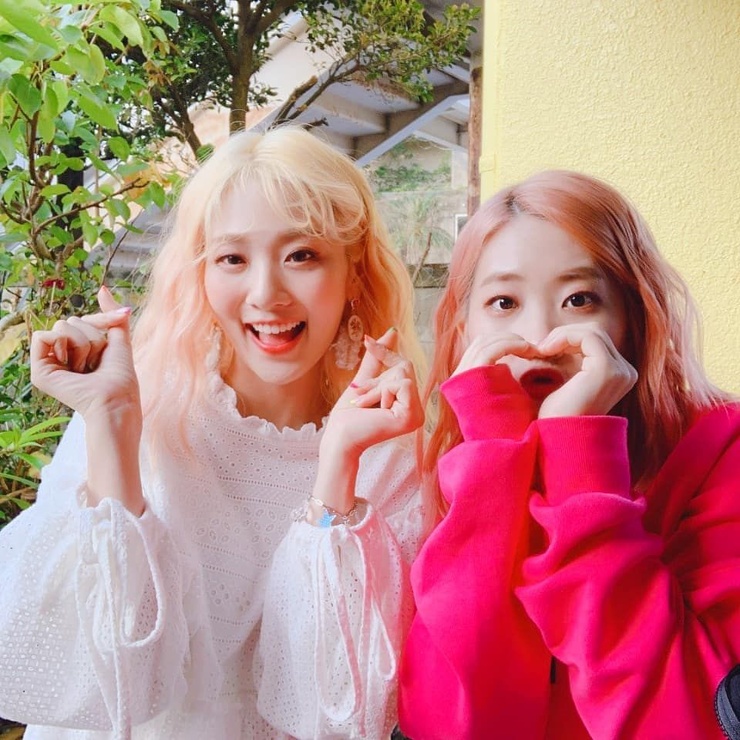 Bolbbalgan4