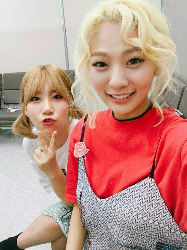 Bolbbalgan4