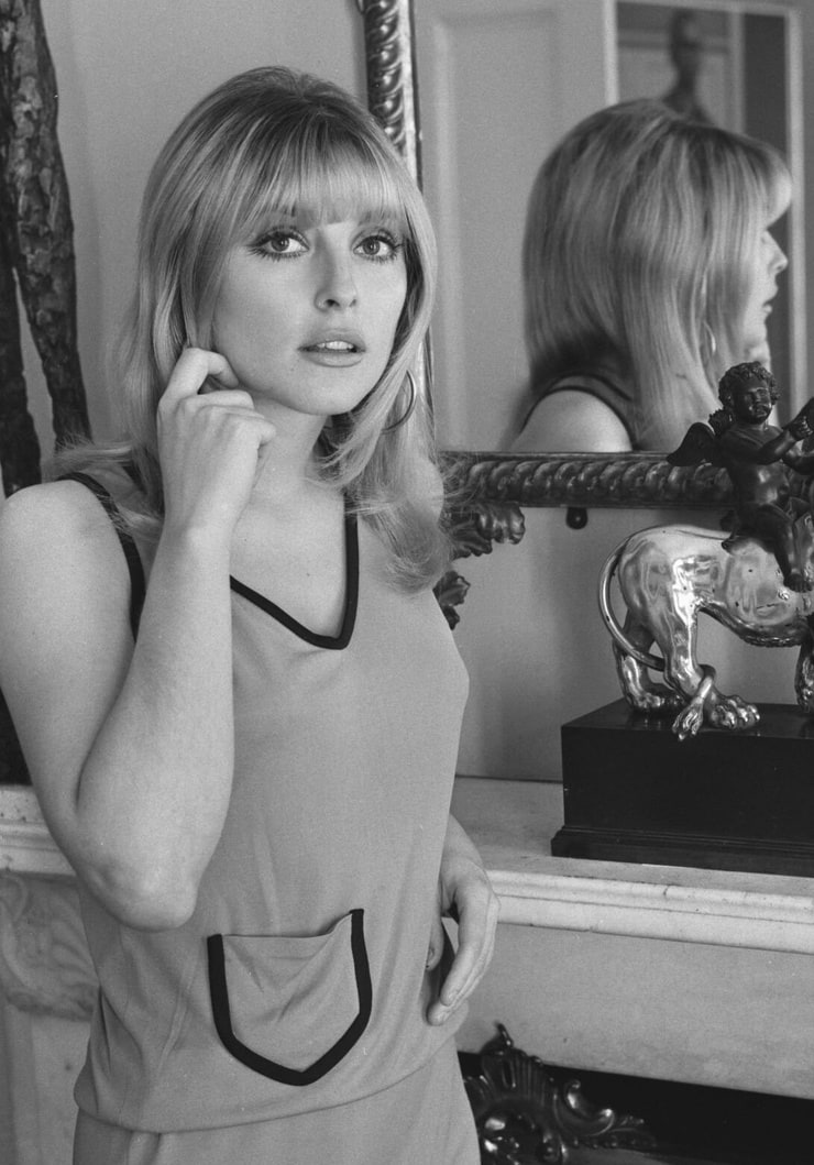 Sharon Tate picture