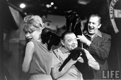 Vincent Price Vincent Price