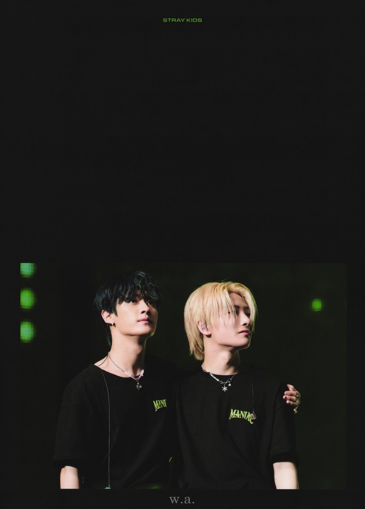 Stray Kids