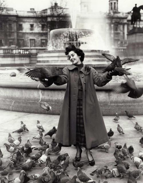 Elizabeth Taylor