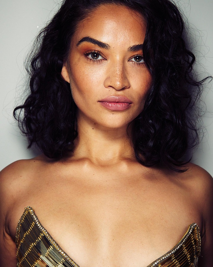 Shanina Shaik