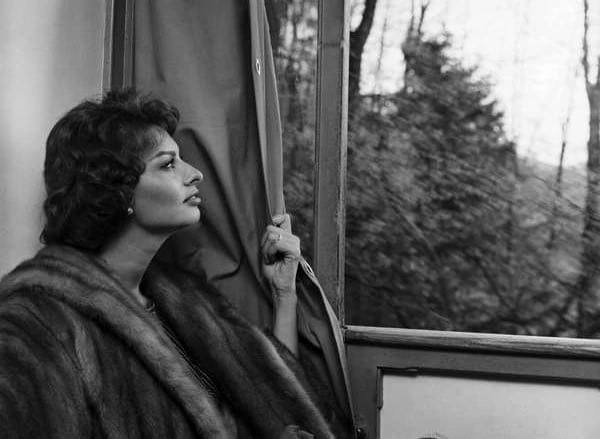 Sophia Loren