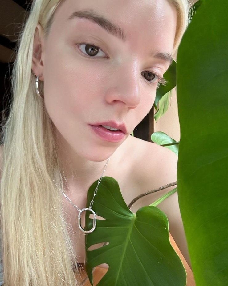 Picture Of Anya Taylor Joy