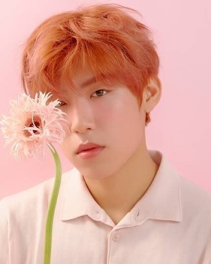 Woo-jin Park