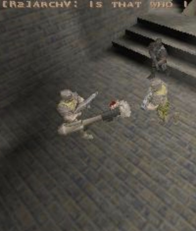 Diary of a Camper