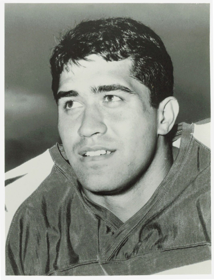 Ray Schoenke