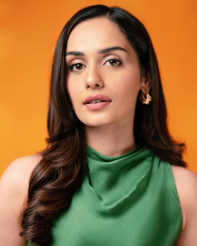 Manushi Chhillar picture