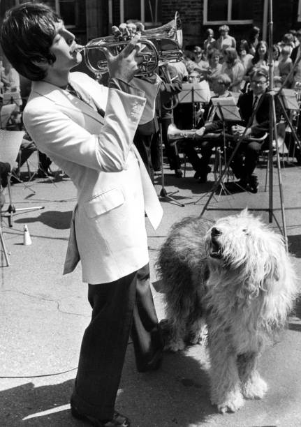 Paul McCartney