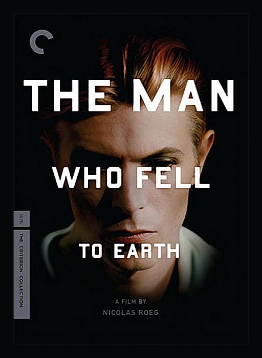 The Man Who Fell to Earth