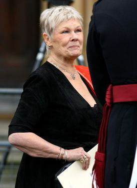 Picture of Judi Dench