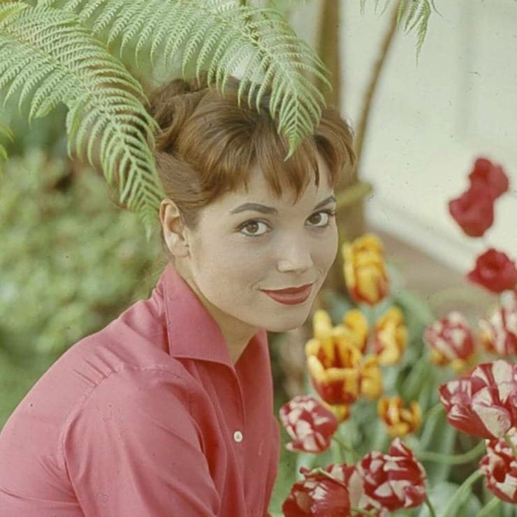 Elsa Martinelli