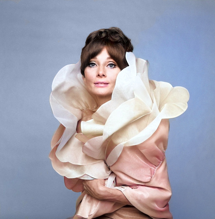 Audrey Hepburn Audrey Hepburn