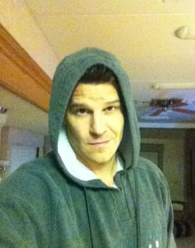 David Boreanaz