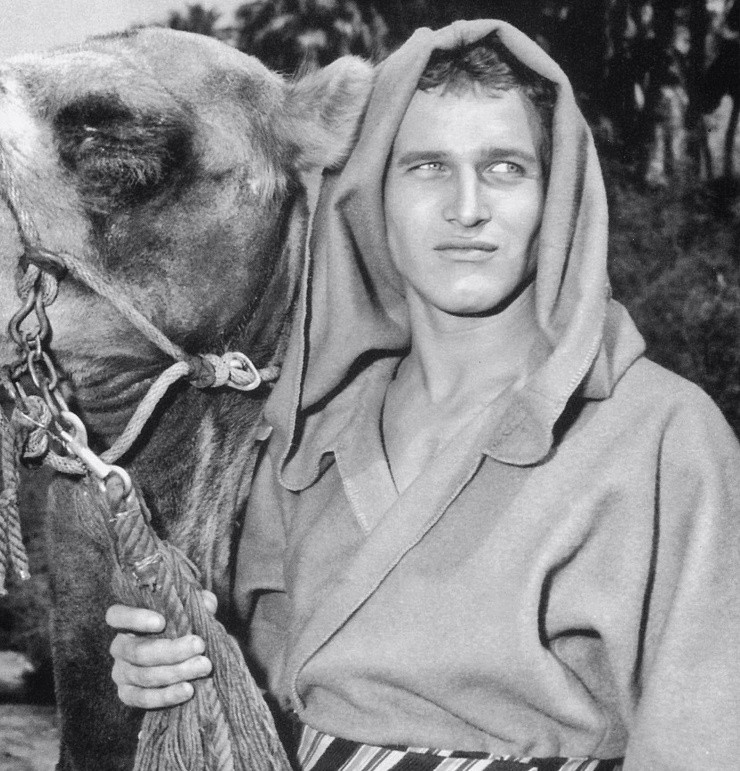 Paul Newman