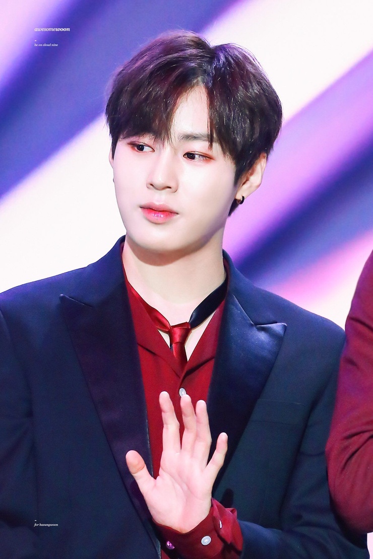 Sung-Woon Ha