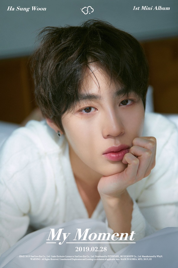 Sung-Woon Ha