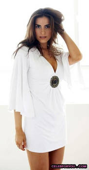 Nazanin Afshin-Jam