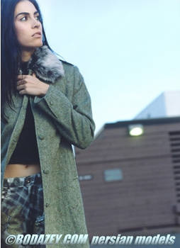 Nazanin Afshin-Jam