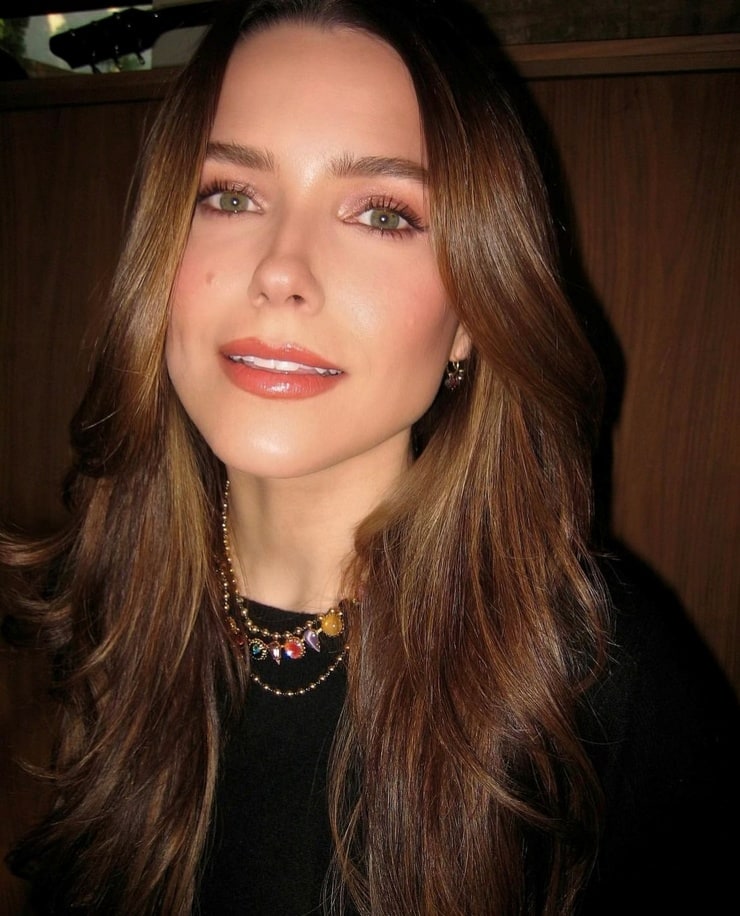 Picture of Sophia Bush