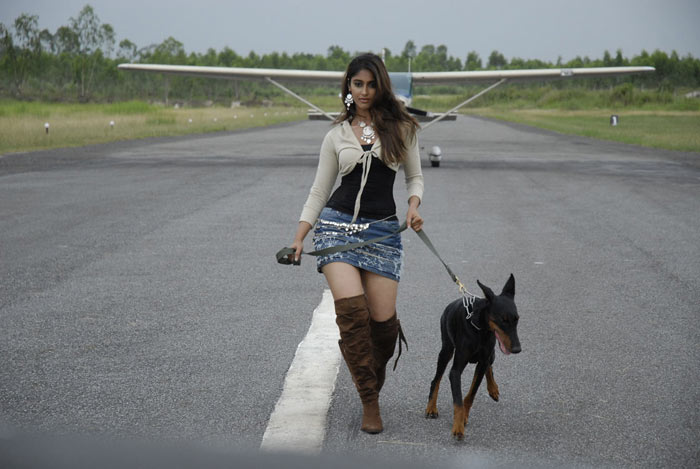 Ileana D'cruz