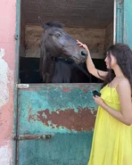 Melike Yalova