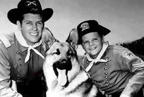 rin tin tin the life and the legend
