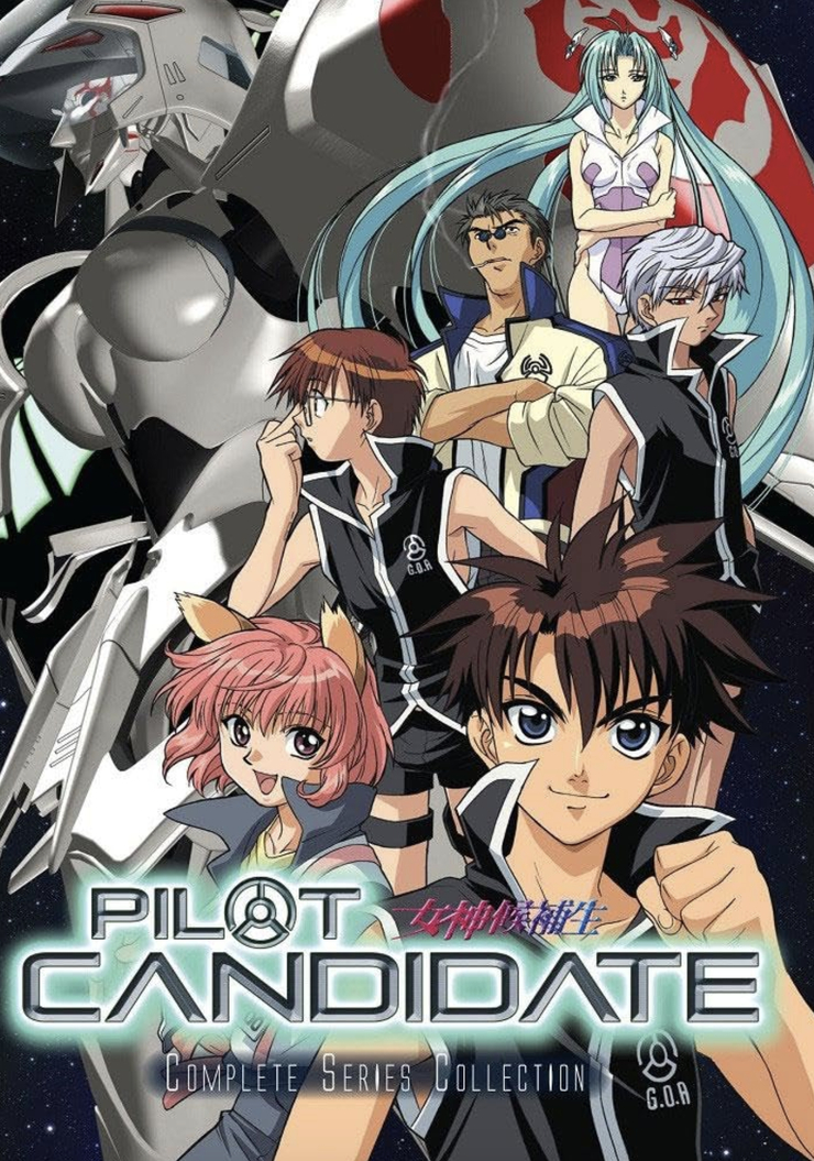 Pilot Candidate