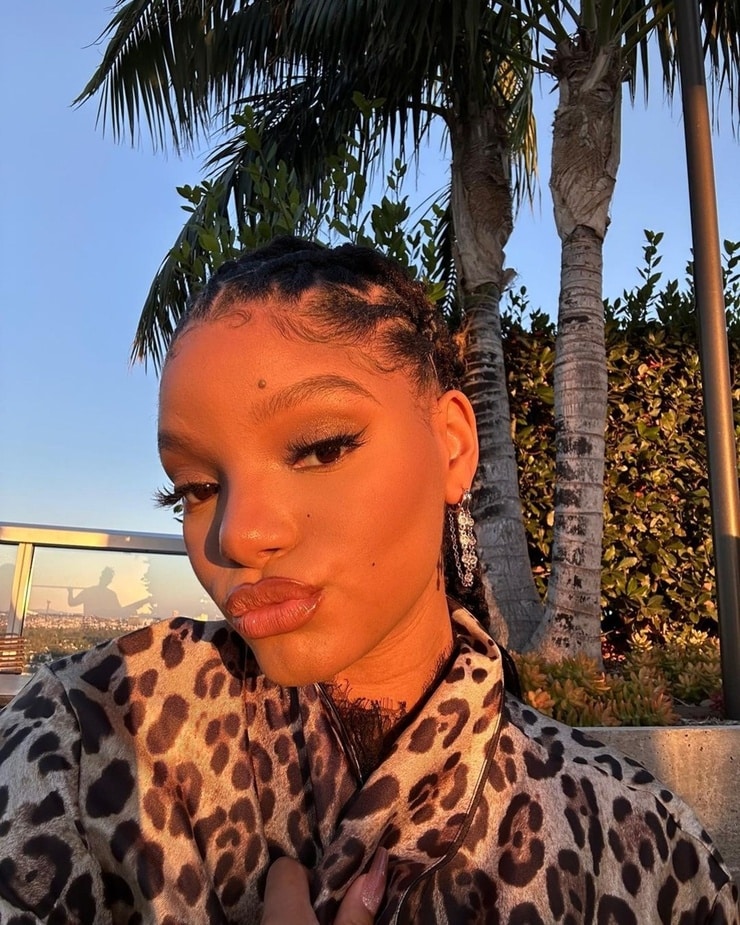 Picture of Halle Bailey