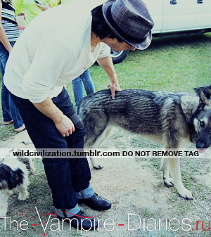 Ian Somerhalder
