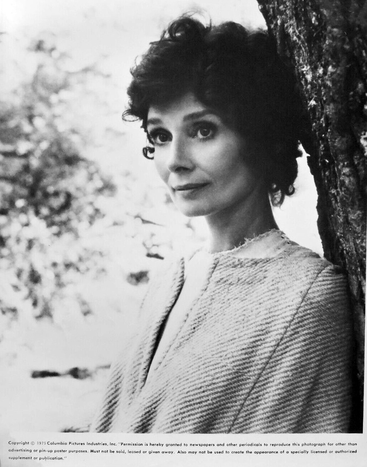 Audrey Hepburn Audrey Hepburn