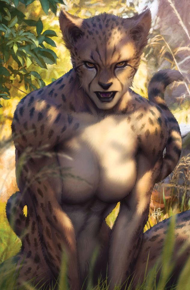 Cheetah