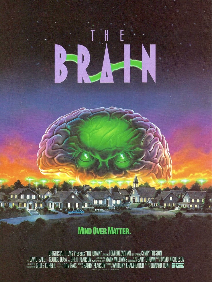 The Brain