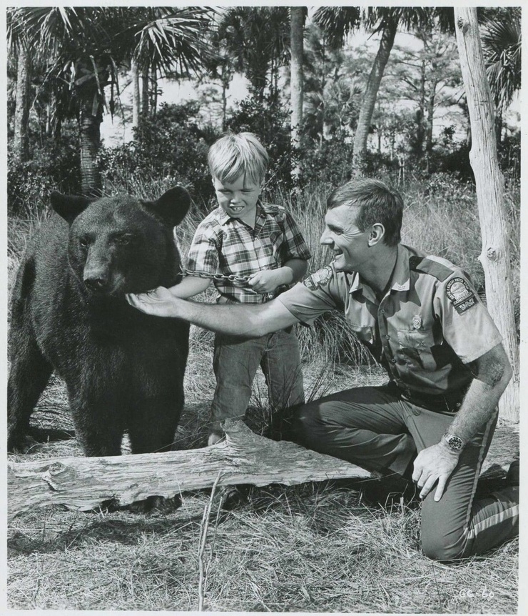 Bruno the Bear