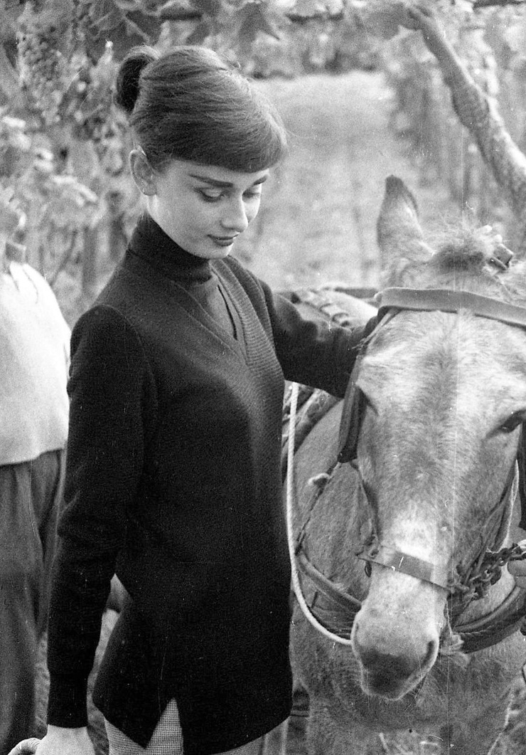 Audrey Hepburn